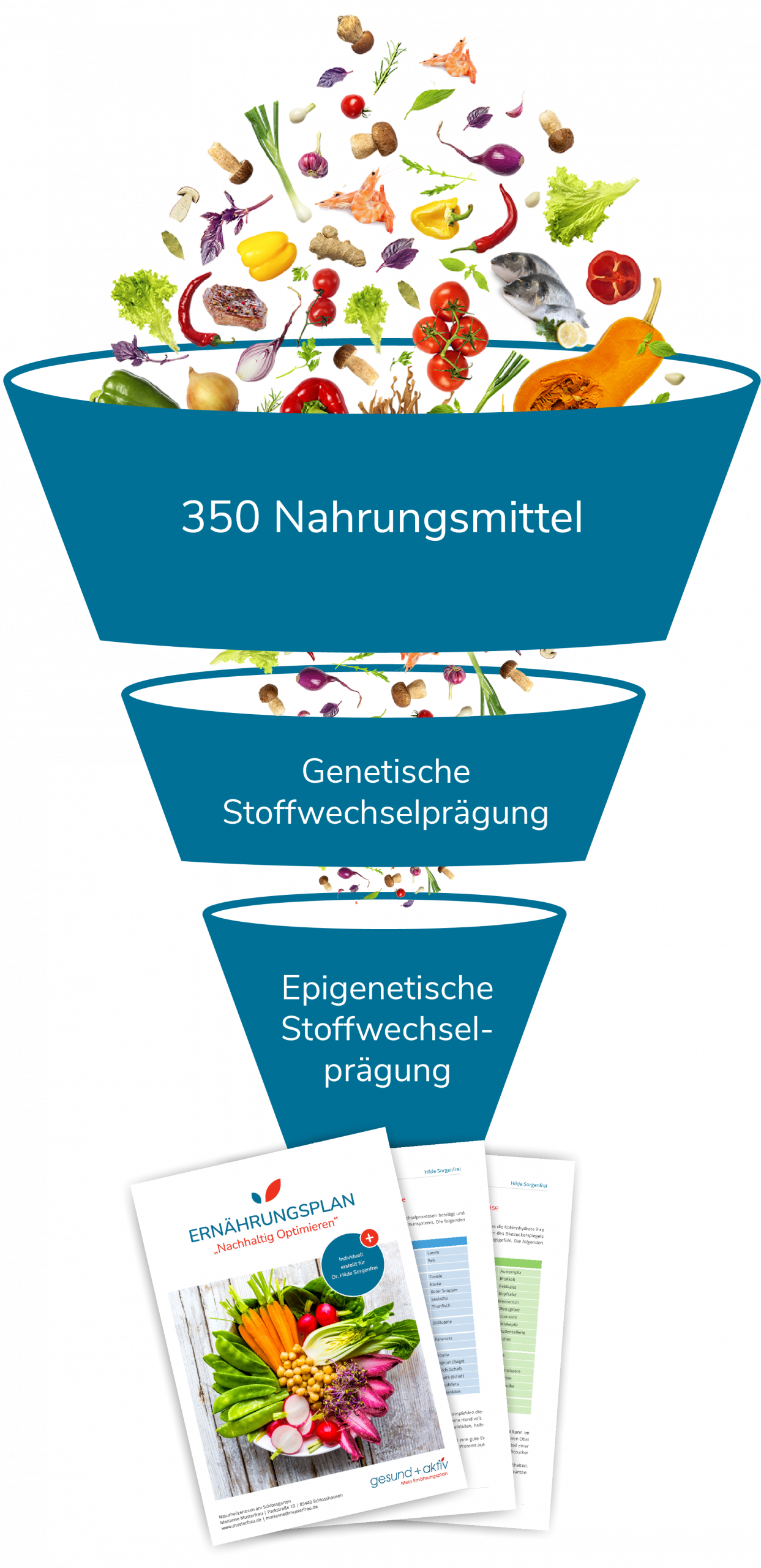 Stoffwechsel Filter omnivor